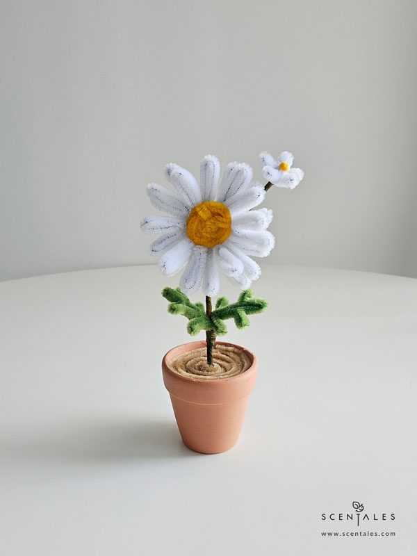 Dainty Flower Pot chamomile twisting flower pot