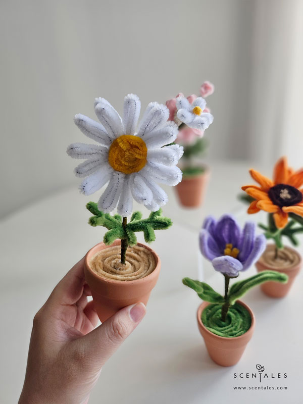 Dainty Flower Pot chamomile twisting flower pot