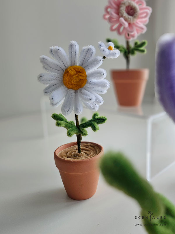 Dainty Flower Pot chamomile twisting flower pot