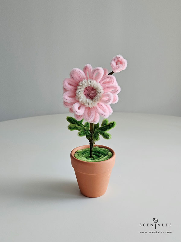 Dainty Flower Pot gerbera twisting flower pot