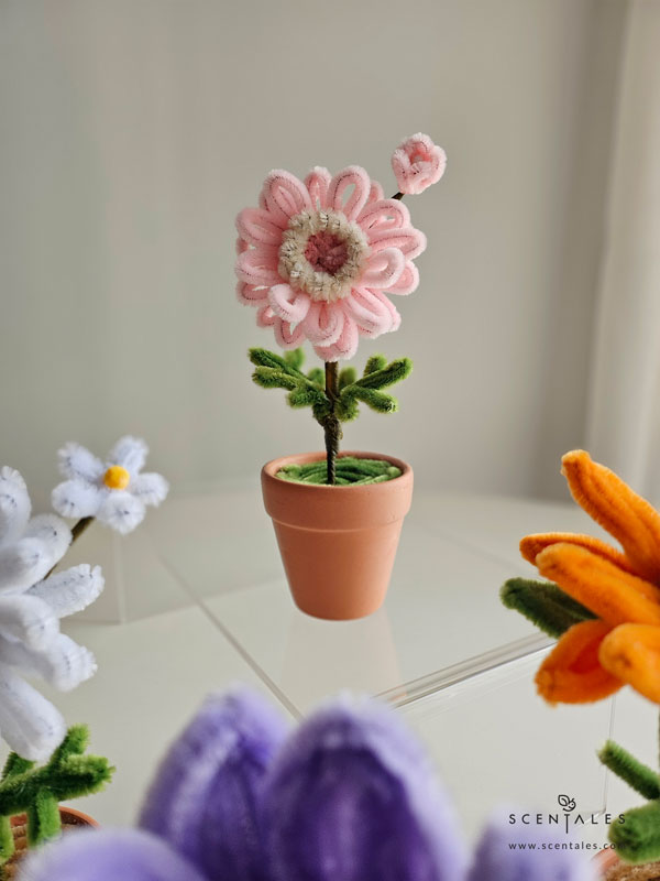 Dainty Flower Pot gerbera twisting flower pot
