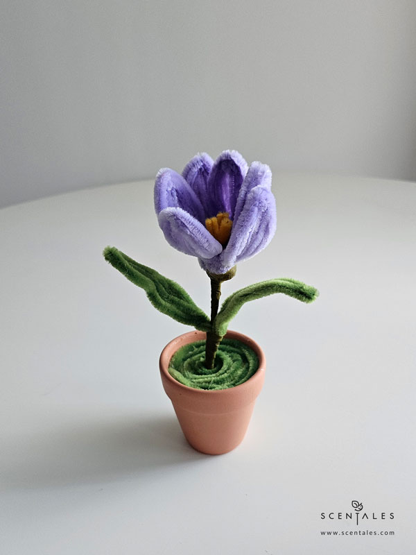 Dainty Flower Pot tulip twisting flower pot
