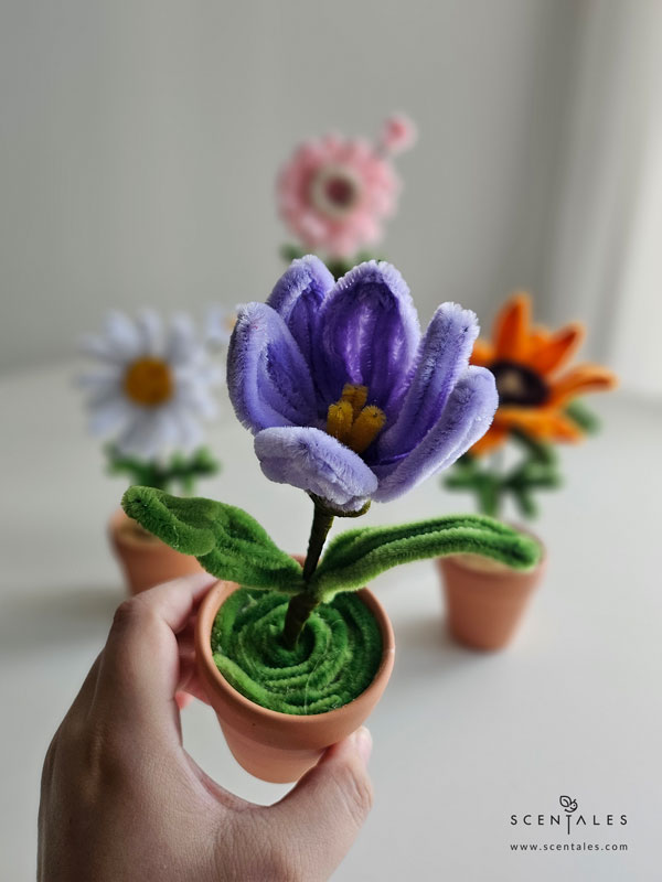 Dainty Flower Pot tulip twisting flower pot